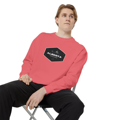 APA Vintage Hex Logo Sweatshirt