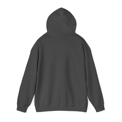 APA Hoodie - Vintage Mountain Crest Sweatshirt