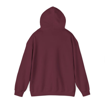 APA Hoodie - Vintage Mountain Crest Sweatshirt