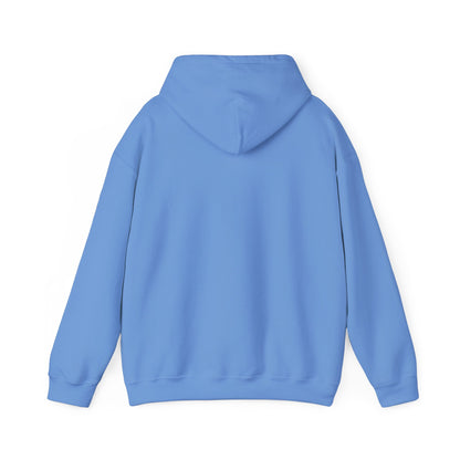 APA Hoodie - Vintage Mountain Crest Sweatshirt