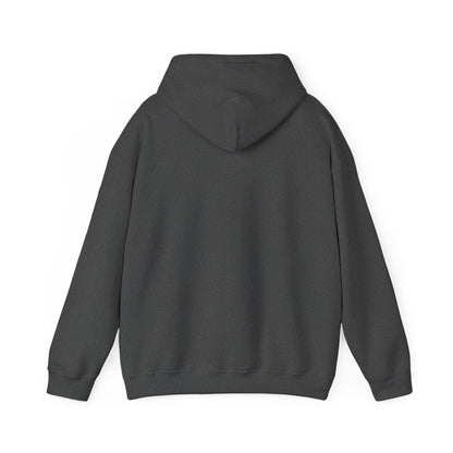 APA Hoodie - Vintage Mountain Crest Sweatshirt