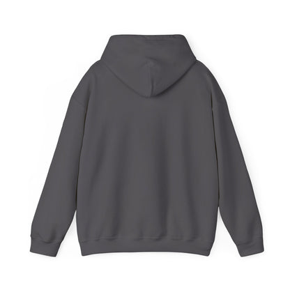 APA Hoodie - Vintage Mountain Crest Sweatshirt