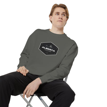 APA Vintage Hex Logo Sweatshirt