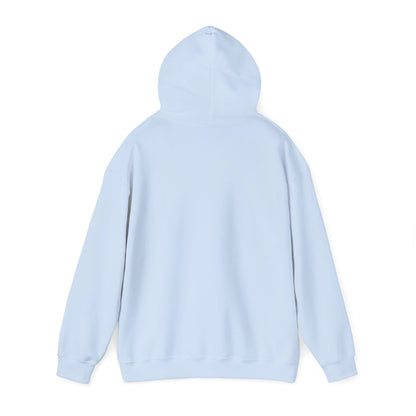 APA Hoodie - Vintage Mountain Crest Sweatshirt