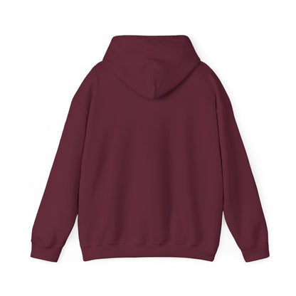 APA Hoodie - Vintage Mountain Crest Sweatshirt
