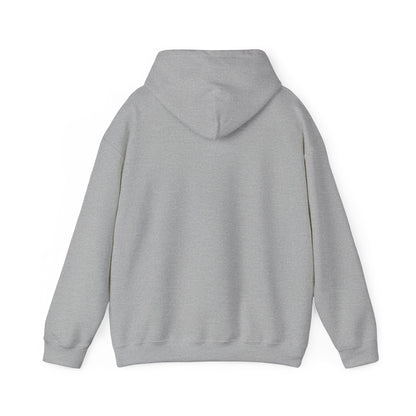 APA Hoodie - Vintage Mountain Crest Sweatshirt