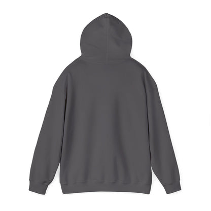 APA Hoodie - Vintage Mountain Crest Sweatshirt