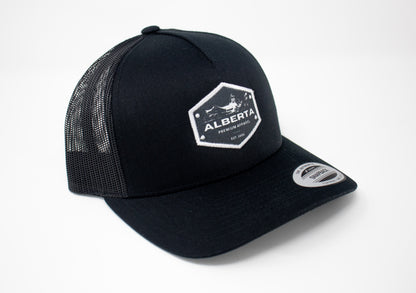 APA Original Hat