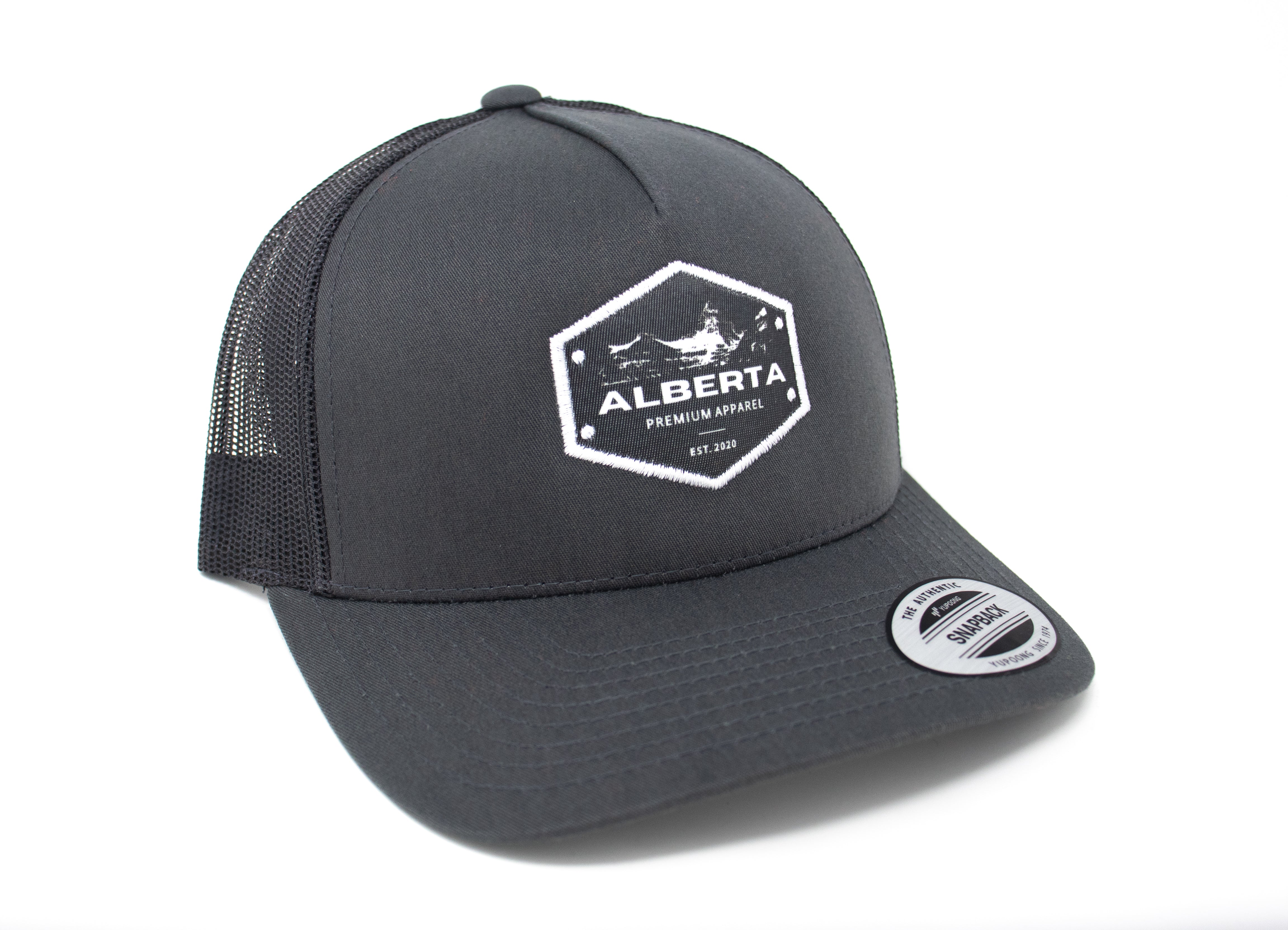 APA Original Hat